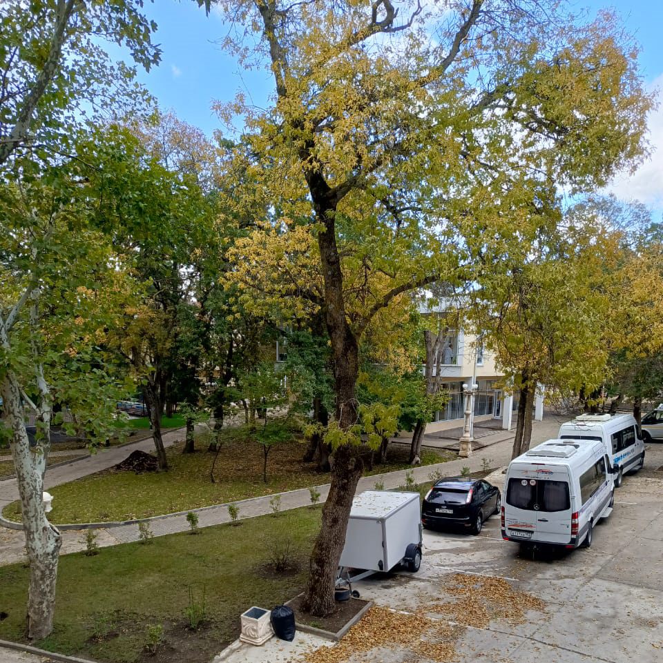 Номер «Джуниор сюит» — санаторий «Жемчужина моря» — фото 6