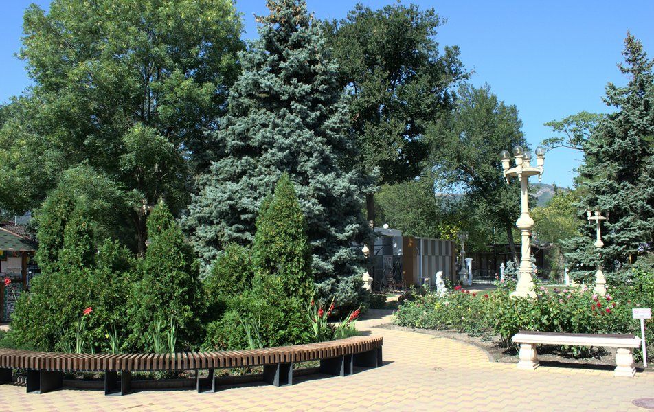 Парковая территория санатория «Жемчужина моря» в Кабардинке — фото 10